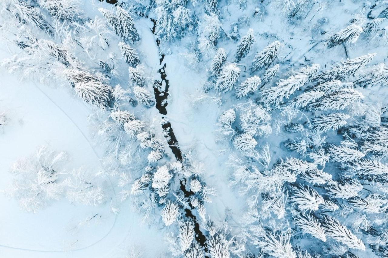 Résidence Les Portes du Soleil - Propriétés Mont Amour Avoriaz Extérieur photo