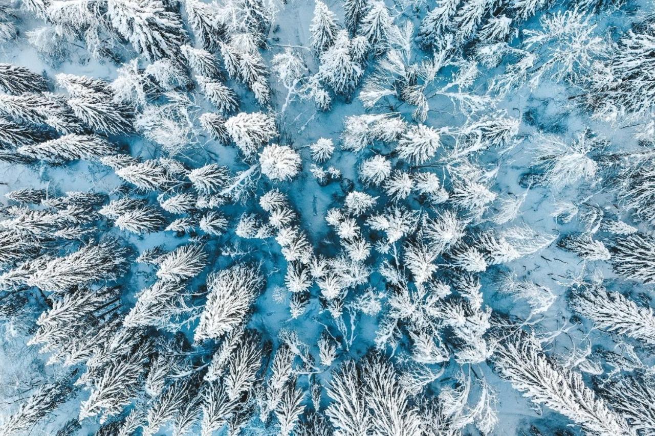 Résidence Les Portes du Soleil - Propriétés Mont Amour Avoriaz Extérieur photo